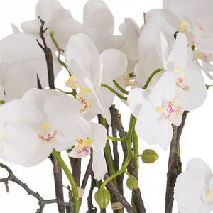 Large Stone Potted Orchid With Roots - Canwell Interiors Limited - Hills