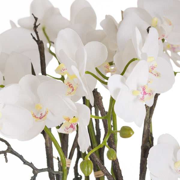 Large Stone Potted Orchid With Roots - Canwell Interiors Limited - Hills
