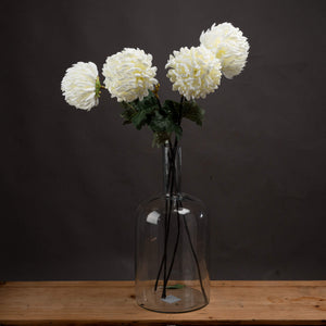 Large White Chrysanthemum - Canwell Interiors Limited - Hills