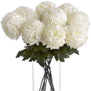Large White Chrysanthemum - Canwell Interiors Limited - Hills
