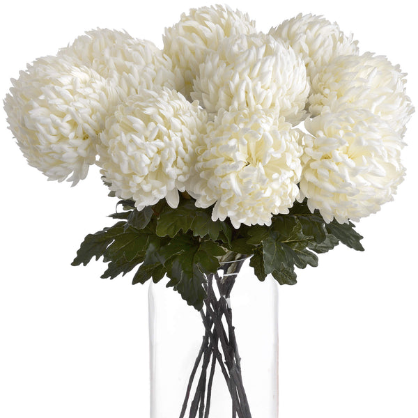Large White Chrysanthemum - Canwell Interiors Limited - Hills