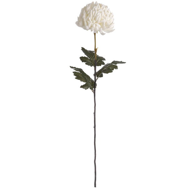 Large White Chrysanthemum - Canwell Interiors Limited - Hills