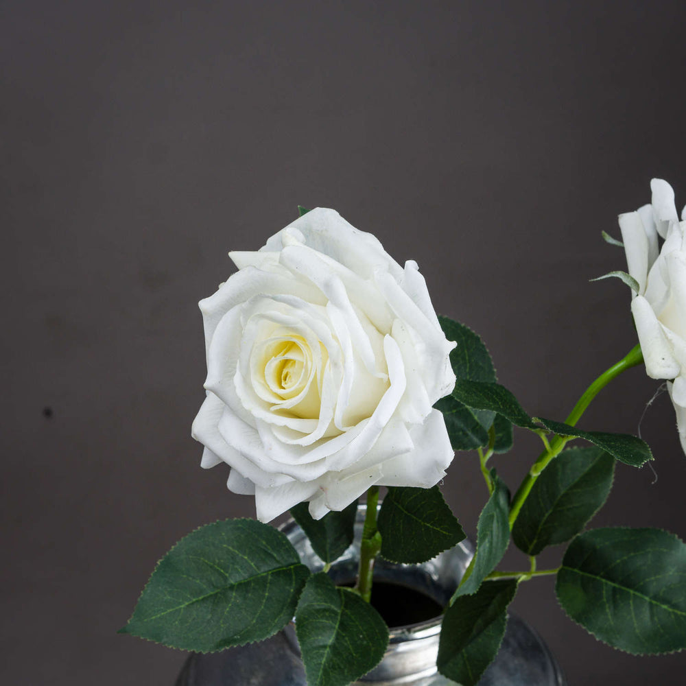 Large White Garden Rose - Canwell Interiors Limited - Hills