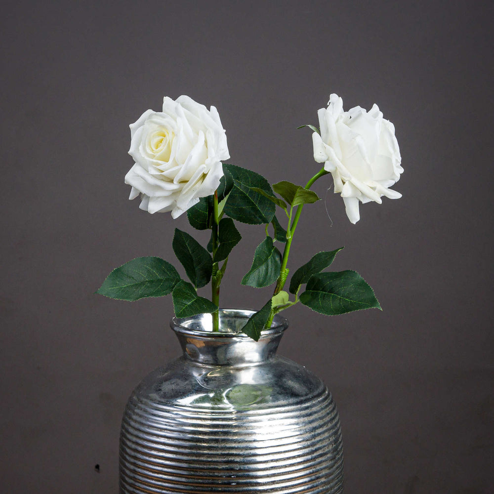 Large White Garden Rose - Canwell Interiors Limited - Hills