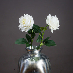 Large White Garden Rose - Canwell Interiors Limited - Hills