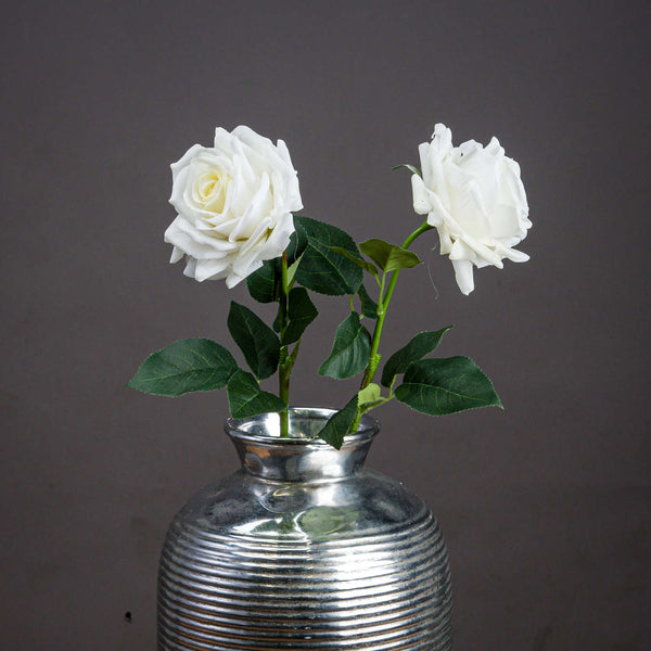 Large White Garden Rose - Canwell Interiors Limited - Hills