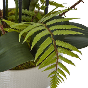 Large White Orchid In Ceramic Pot - Canwell Interiors Limited - Hills