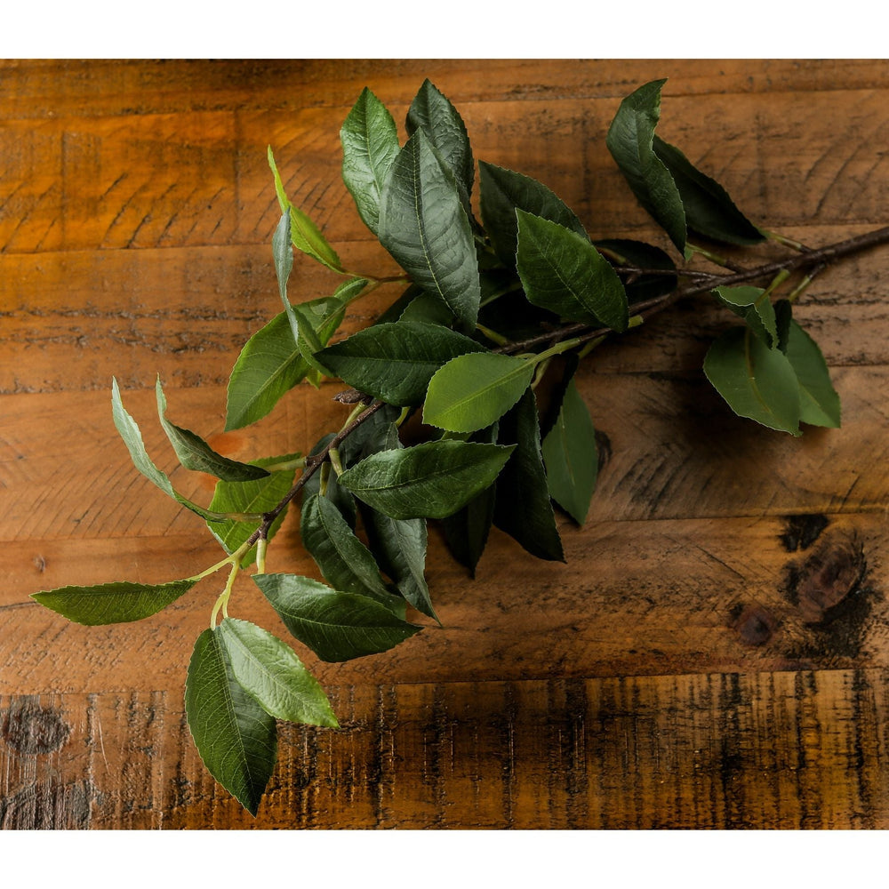 Laurel Leaf Spray - Canwell Interiors Limited - Hills
