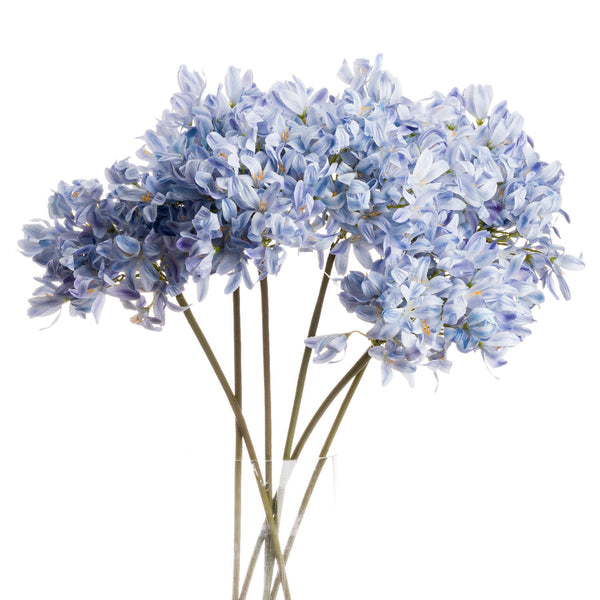 Light Blue Large Headed Agapanthus - Canwell Interiors Limited - Hills