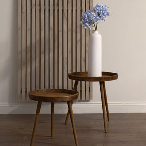 Light Blue Large Headed Agapanthus - Canwell Interiors Limited - Hills