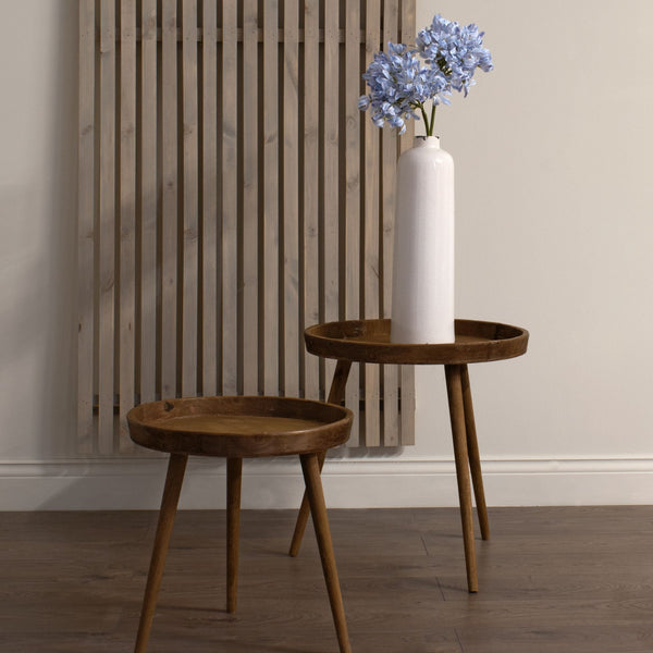 Light Blue Large Headed Agapanthus - Canwell Interiors Limited - Hills