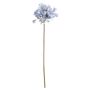 Light Blue Large Headed Agapanthus - Canwell Interiors Limited - Hills