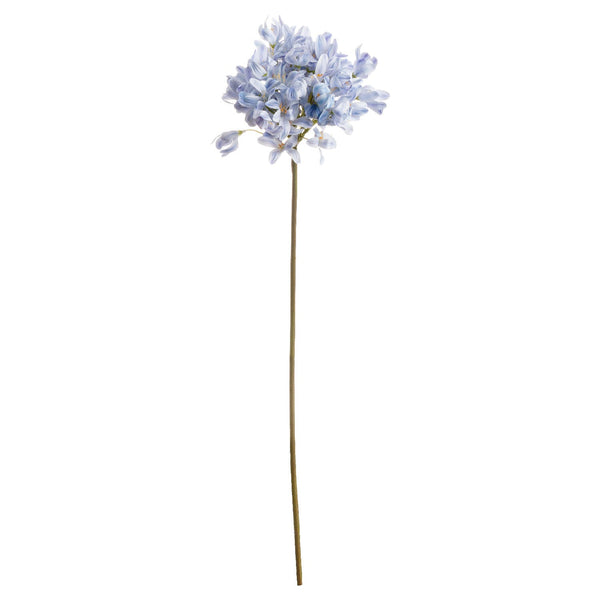 Light Blue Large Headed Agapanthus - Canwell Interiors Limited - Hills