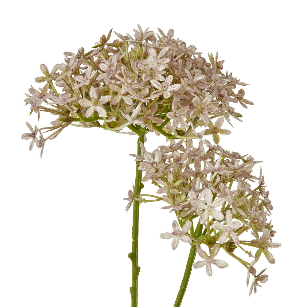 Lilac Crown Hydrangea Stem - Canwell Interiors Limited - Hills