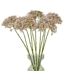 Lilac Crown Hydrangea Stem - Canwell Interiors Limited - Hills