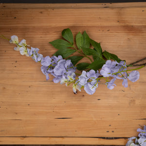 Lilac Wisteria - Canwell Interiors Limited - Hills