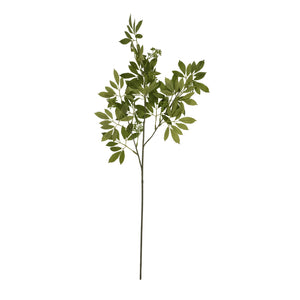 Long Fennel Stem - Canwell Interiors Limited - Hills
