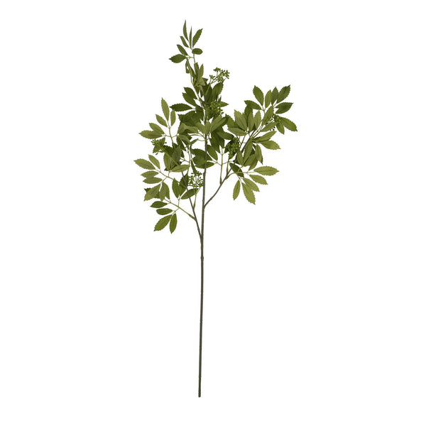 Long Fennel Stem - Canwell Interiors Limited - Hills