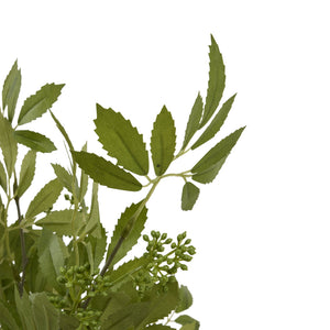 Long Fennel Stem - Canwell Interiors Limited - Hills
