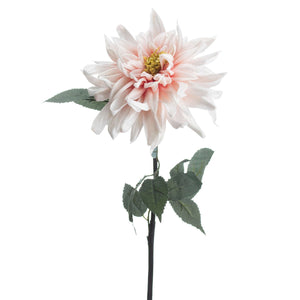 Lush Pink Dahlia - Canwell Interiors Limited - Hills