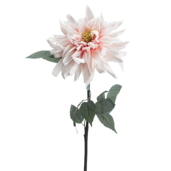 Lush Pink Dahlia - Canwell Interiors Limited - Hills