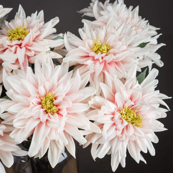 Lush Pink Dahlia - Canwell Interiors Limited - Hills