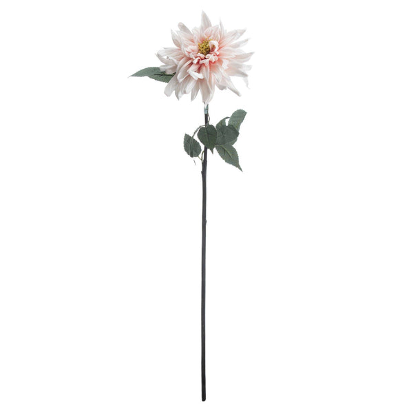 Lush Pink Dahlia - Canwell Interiors Limited - Hills