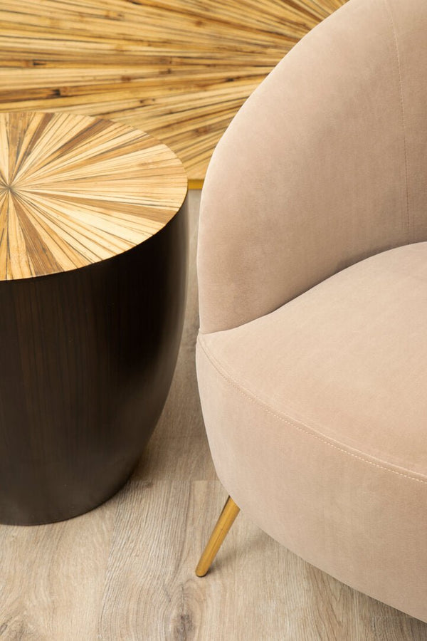 Manhattan Mink Velvet Curved Accent Chair - Canwell Interiors Limited - Xshowhome