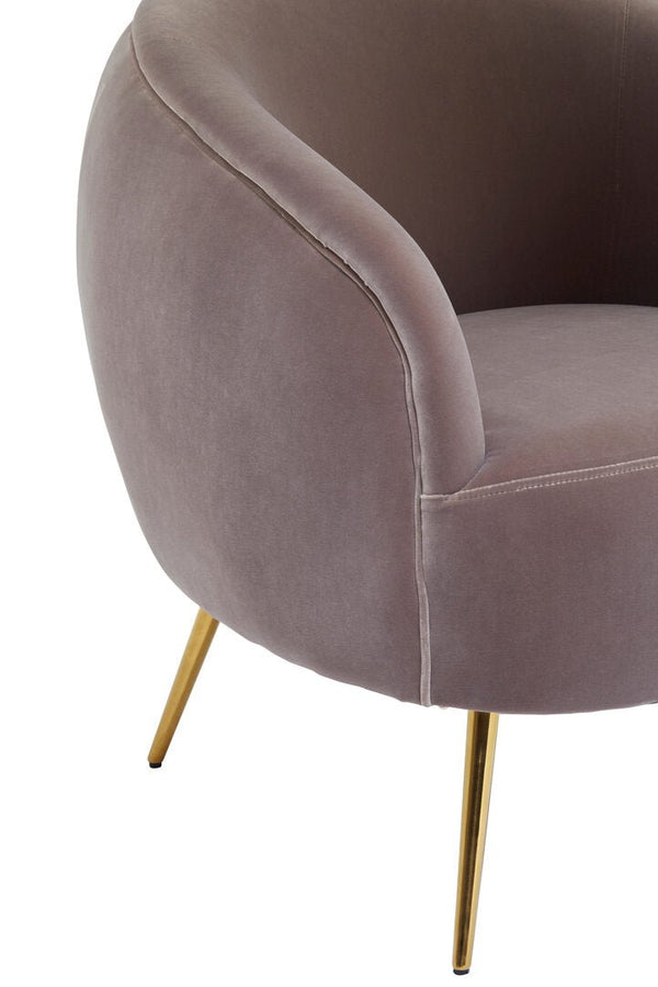 Manhattan Mink Velvet Curved Accent Chair - Canwell Interiors Limited - Xshowhome