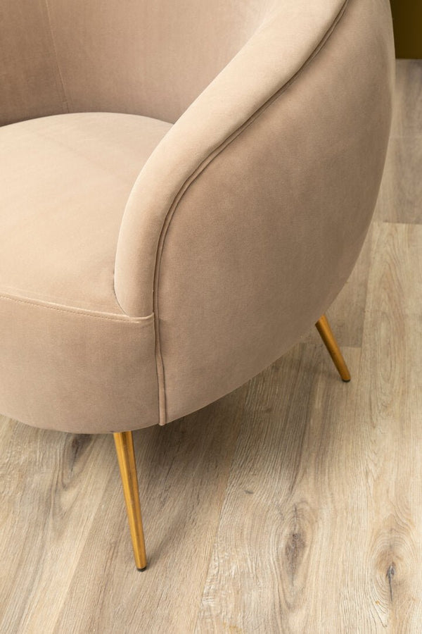 Manhattan Mink Velvet Curved Accent Chair - Canwell Interiors Limited - Xshowhome