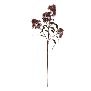 Medium Burgundy Smokebush Stem - Canwell Interiors Limited - Hills