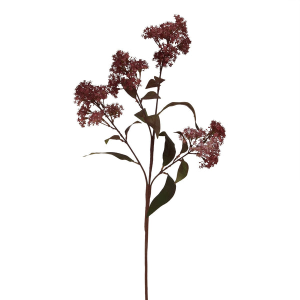 Medium Burgundy Smokebush Stem - Canwell Interiors Limited - Hills