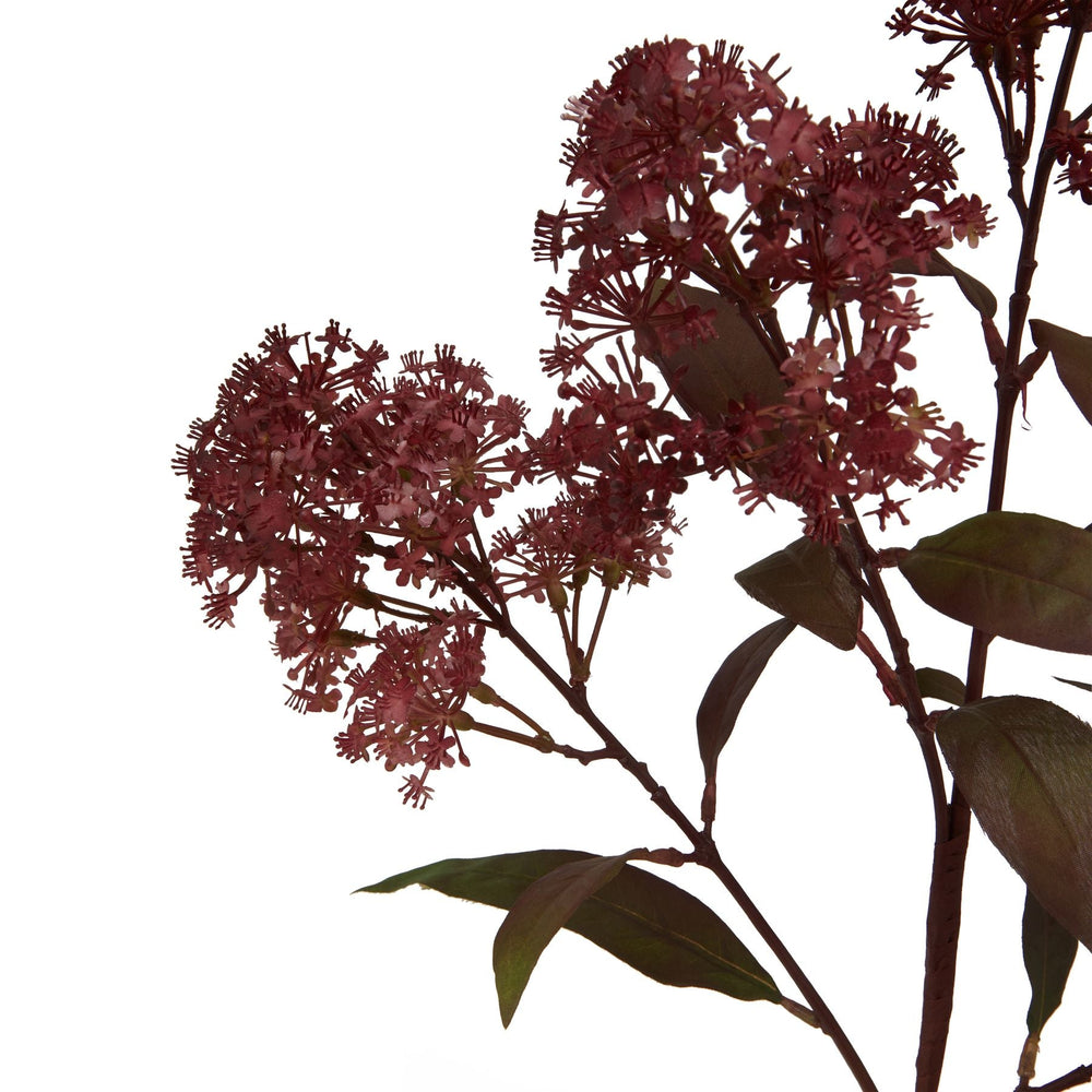 Medium Burgundy Smokebush Stem - Canwell Interiors Limited - Hills