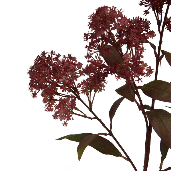 Medium Burgundy Smokebush Stem - Canwell Interiors Limited - Hills