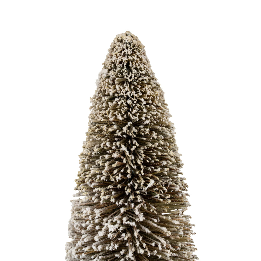 Medium Cone Brush Tree - Canwell Interiors Limited - Hills