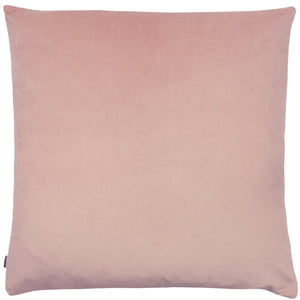 Meyer 50x50 Feather Filled Cushion Quartz/powder - Canwell Interiors Limited - Riva