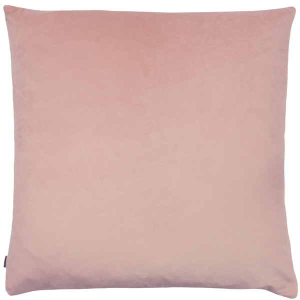 Meyer 50x50 Feather Filled Cushion Quartz/powder - Canwell Interiors Limited - Riva
