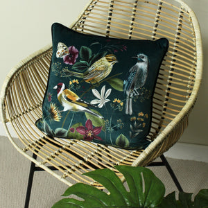 Midnight Garden 43x43 Feather Filled Cushion Birds - XShowhome Limited - Riva