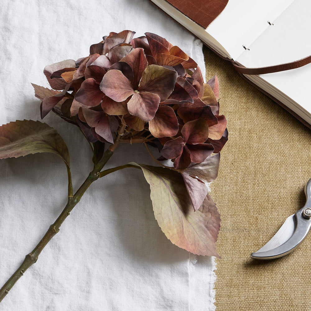 Mixed Autumn Browns Single Hydrangea Stem - Canwell Interiors Limited - Hills