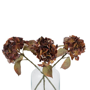 Mixed Autumn Browns Single Hydrangea Stem - Canwell Interiors Limited - Hills