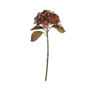 Mixed Autumn Browns Single Hydrangea Stem - Canwell Interiors Limited - Hills