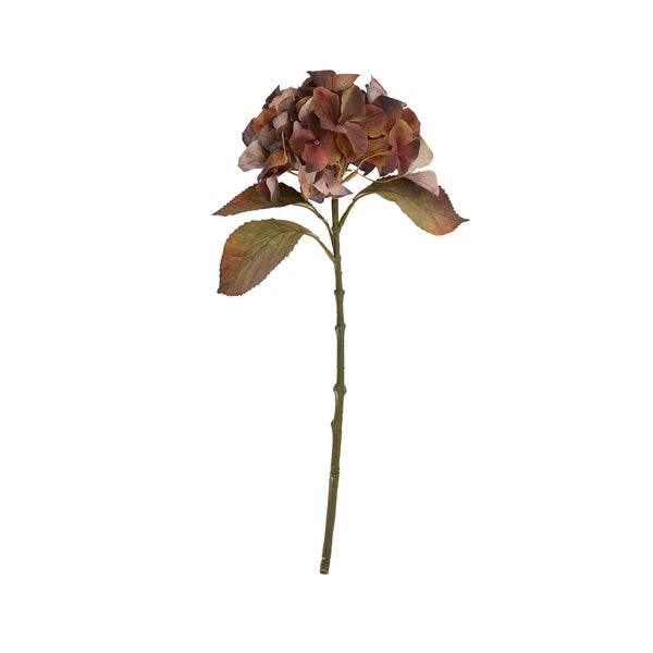 Mixed Autumn Browns Single Hydrangea Stem - Canwell Interiors Limited - Hills
