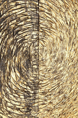 Modello Wood Carving Gold Finish Wall Art - Canwell Interiors Limited - Xshowhome