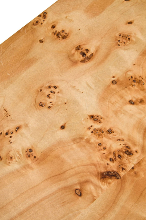 Mota Burl Wood Design Curved Coffee Table - XShowhome Limited - Xshowhome
