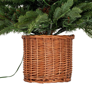 Norway Fir Pre - Lit LLED 300L Fir Tree In Rattan Pot - Canwell Interiors Limited - Hills