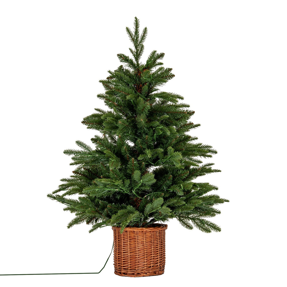 Norway Fir Pre - Lit LLED 300L Fir Tree In Rattan Pot - Canwell Interiors Limited - Hills