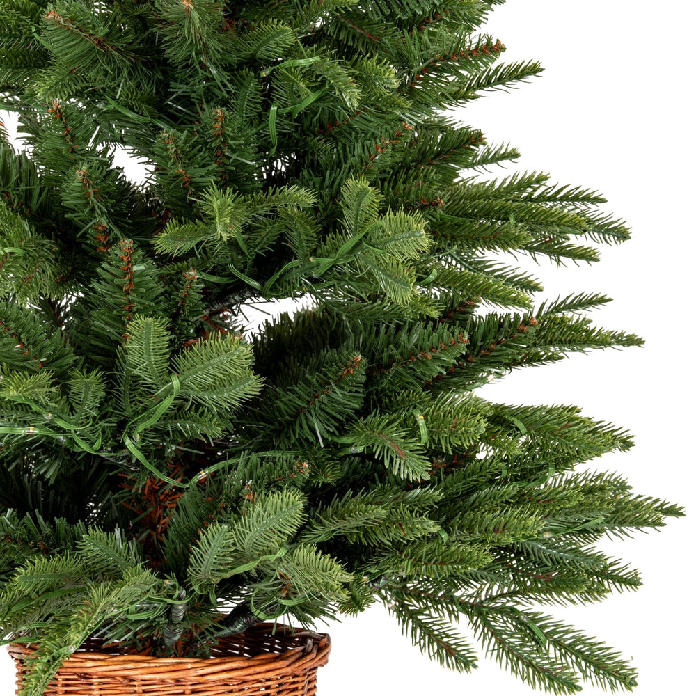 Norway Fir Pre - Lit LLED 300L Fir Tree In Rattan Pot - Canwell Interiors Limited - Hills