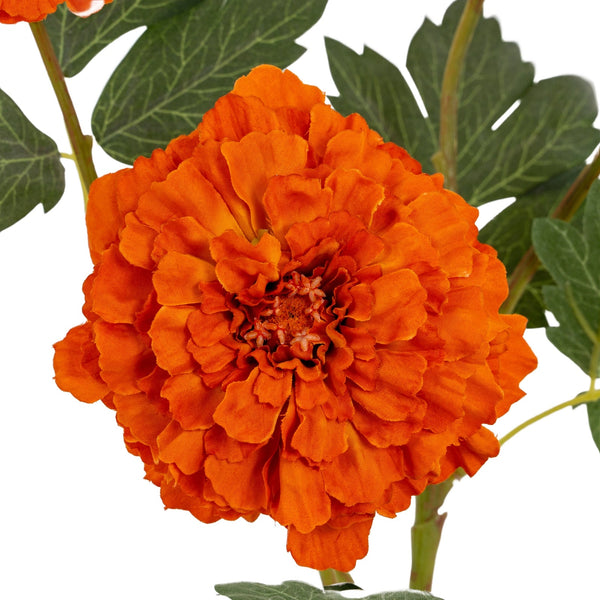 Orange African Marigold Large Spray - Canwell Interiors Limited - Hills