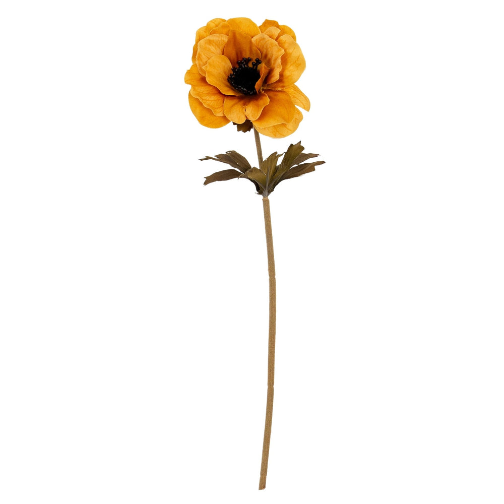 Orange Anemone Stem - Canwell Interiors Limited - Hills