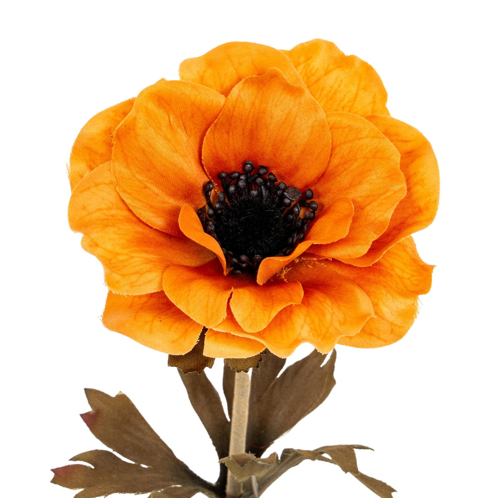 Orange Anemone Stem - Canwell Interiors Limited - Hills